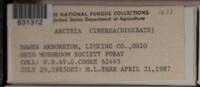 Image Associated With the Occurence